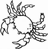 Crab Coloring Exoskeleton Pages Animals Buddies Related Posts Printable sketch template