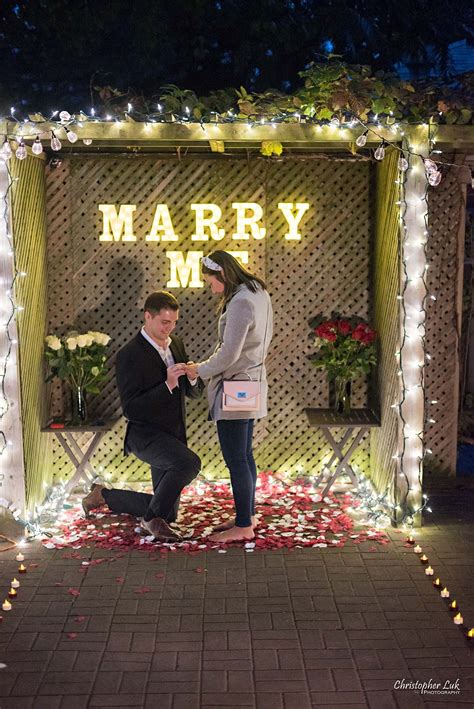 surprise markham backyard marriage wedding proposal toronto christopher luk photography