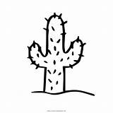 Cactus Cacto Ultracoloringpages sketch template
