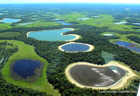 brazil pantanal brackish water lakes salinas unique feature of this region of the pantanal