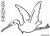 Stork Coloring Pages sketch template