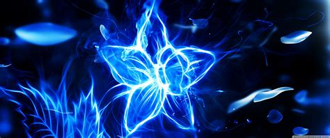 blue fire flower ultra hd desktop background wallpaper for 4k uhd tv widescreen and ultrawide