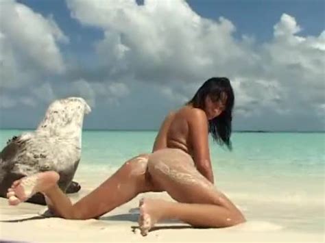 shaved pussy teen in the sand at the beach alpha porno