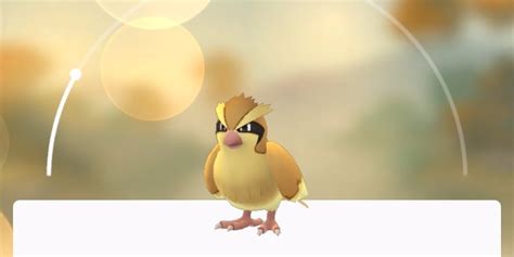 How To Skip Levels In Pokemon Go With Pidgey Business Insider