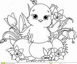 Coloring Hen Pages Chicks Getcolorings sketch template
