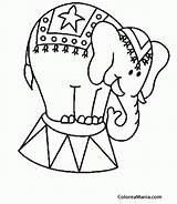 Circo Elefante Tarima sketch template