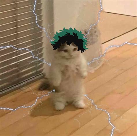 lista  foto gatito parado meme personajes de anime actualizar