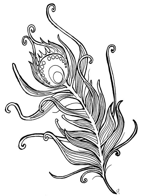 peacock feather coloring page