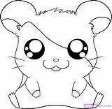 Hamster Coloring Pages Getcolorings Color Printable sketch template