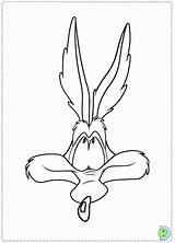 Coyote Looney Tunes Wile Wilie Roadrunner Coloringhome Getdrawings sketch template