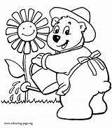 Coloring Flower Cute Bear Printable Pages Garden Watering Bears Clipart Colouring Gardening Color Gardener Popular sketch template