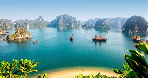 hanoi halong bay north  vietnam  swallow travel    reviews tourradar