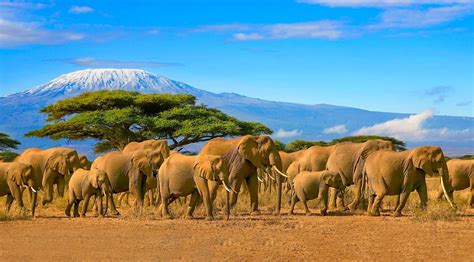 tourist attractions   visit  east africa