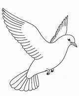 Flying Bird Drawing Coloring Pages Birds Fly Getdrawings sketch template