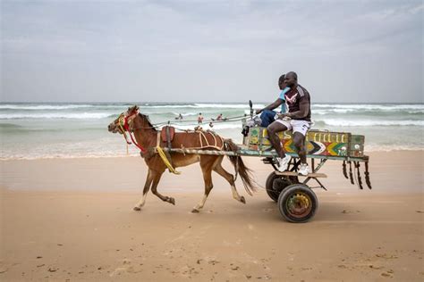 Surfing Senegal Africa Geographic Magazine Senegal