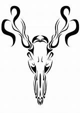 Deer Skull Tribal Drawings Silhouette Clipart Clip Skulls Drawing Whitetail Cliparts Use Clipartbest Resource Buck Library Clipartmag sketch template