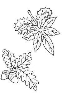 leaves coloring page preschool activities fall coloring pages leaf