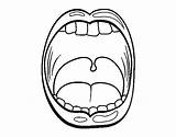 Throat Coloring Pages Tongue Gallbladder Template Coloringcrew Colorear Garganta Human Body sketch template