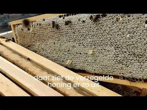 verzegelde honing op het dak van de coop  odoorn youtube