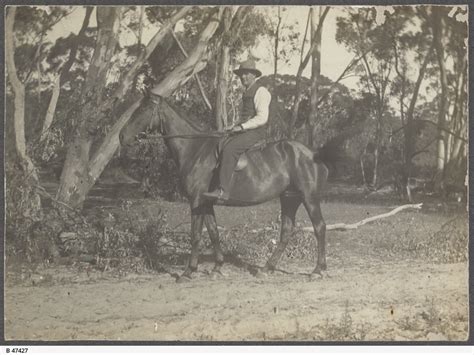 stockman photograph state library  south australia