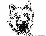 Yorkie Drawing Coloring Pages Inks Printable Kids Adults Cute Clipartmag sketch template