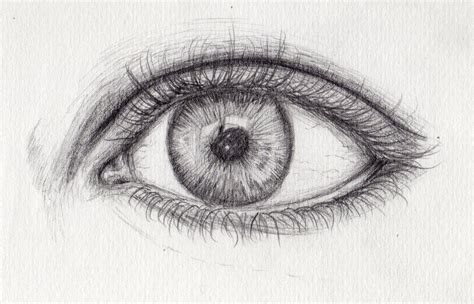 eye sketch  freyabigg  deviantart