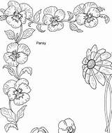 Pansy Inkspired Pattern Paper Musings Language Flowers sketch template