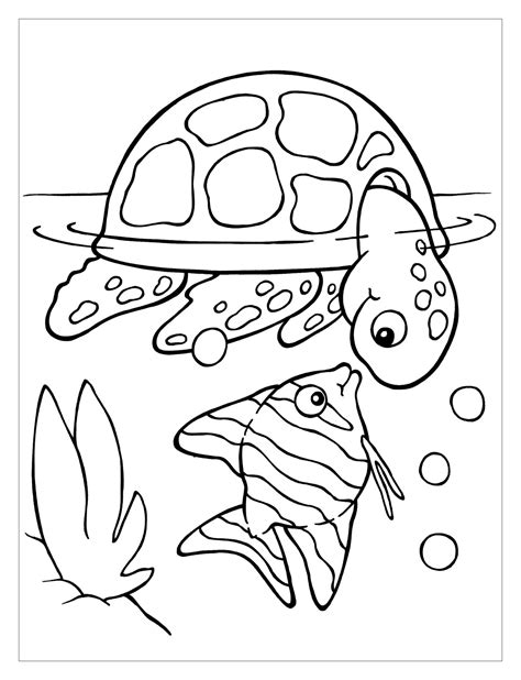 easy  turtles coloring page     gallery turtles