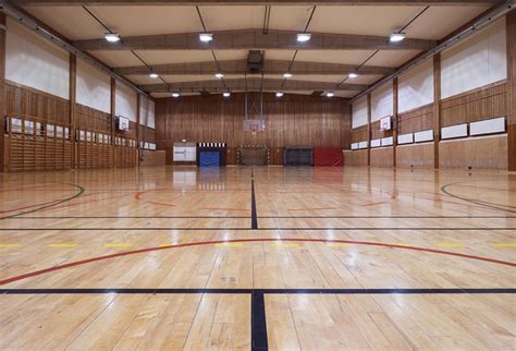 recreation center sports facilities advisory