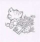 Coloring Cool Pages Cat Stamps sketch template