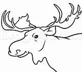 Moose Drawing Head Pencil Popular Clipartmag Animals Getdrawings Library Coloring sketch template