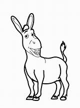 Donkey Coloring sketch template