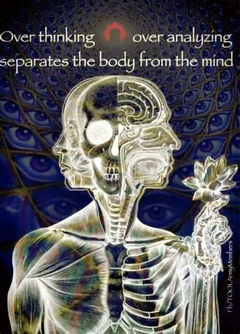 Tool schism analysis