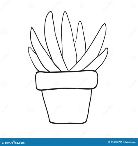 coloring plant  pot stock vector illustration  coloring