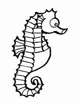 Coloring Seahorse Clipart Pages Template Printable Print Drawing Easy Line Realistic Kids Sea Simple Animal Horse Color Cute Templates Eye sketch template