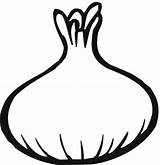 Coloring Pages Onions Kids Onion Gif sketch template