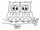 Coruja Pintura Corujas Riscos Lechuzas Lechuza Dibujar Relieve Owl Embroidery Owls Balão Patterns Bordar Buhos Pintados Pelúcia sketch template