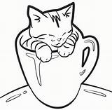Coloring Kitten Pages Cat Cup Kittens Cute Tea Drawing Realistic Kids Sheets Printable Print Lovely Cats Colouring Kitty Color Procoloring sketch template