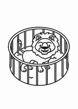 Cage Lion Coloring sketch template