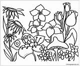 Flower Pages Garden Coloring Gardens Color Online sketch template