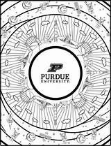 Purdue Admissions University sketch template