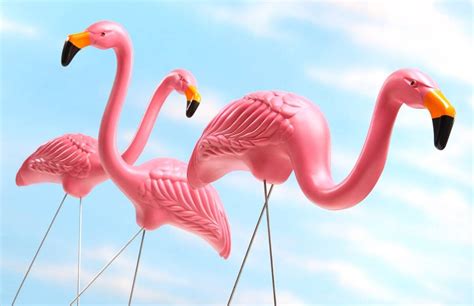 The Fake Flamingos 洋書 Schwanzbilder