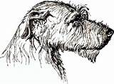 Wolfhound Irish Clipart Silhouette Head Sketch Coloring Clipground Choose Board Book Color sketch template