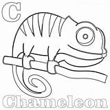 Coloring Chameleon Pages Printable Coloringbay Visit Color sketch template