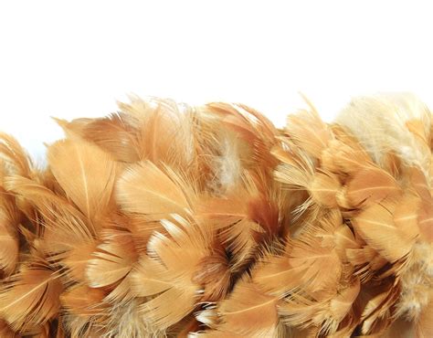 project  turns chicken feathers  textiles  major funding