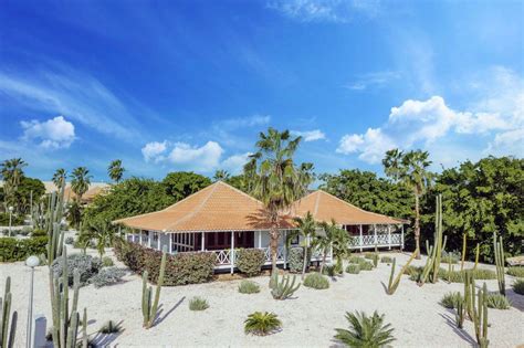 resort papagayo beach hotel resort curacao