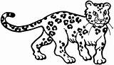 Leopard Coloring Pages Print Printable Color Drawing Kids Snow Simple Animal Getdrawings Supercoloring sketch template