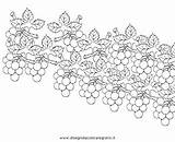 Enredaderas Enredadera Uvas Vigna Ernte Dibujo Grapes Viñedos Herbst Colorea Malvorlage sketch template