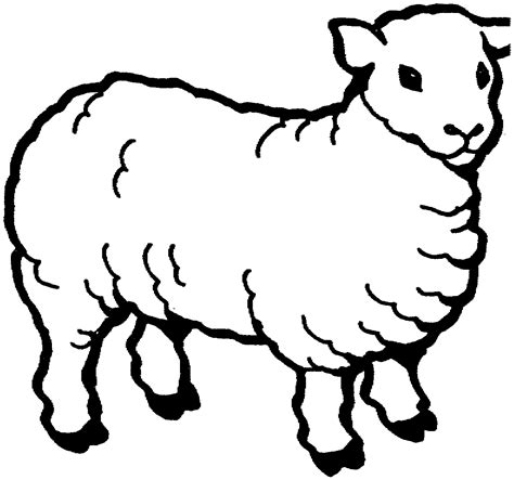 printable sheep coloring pages  kids