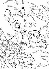 Coloring Ronno Bambi Pages Thumper sketch template